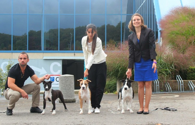 Back To Basic - Résultats du Luxembourg Dog Show 2014!!!!!